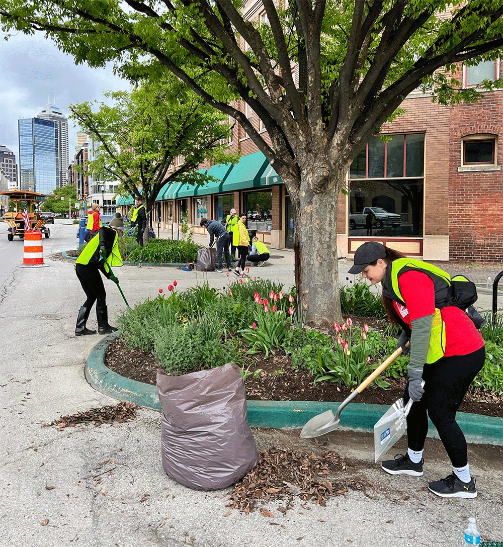 Mass Ave Mile Spring Cleanup