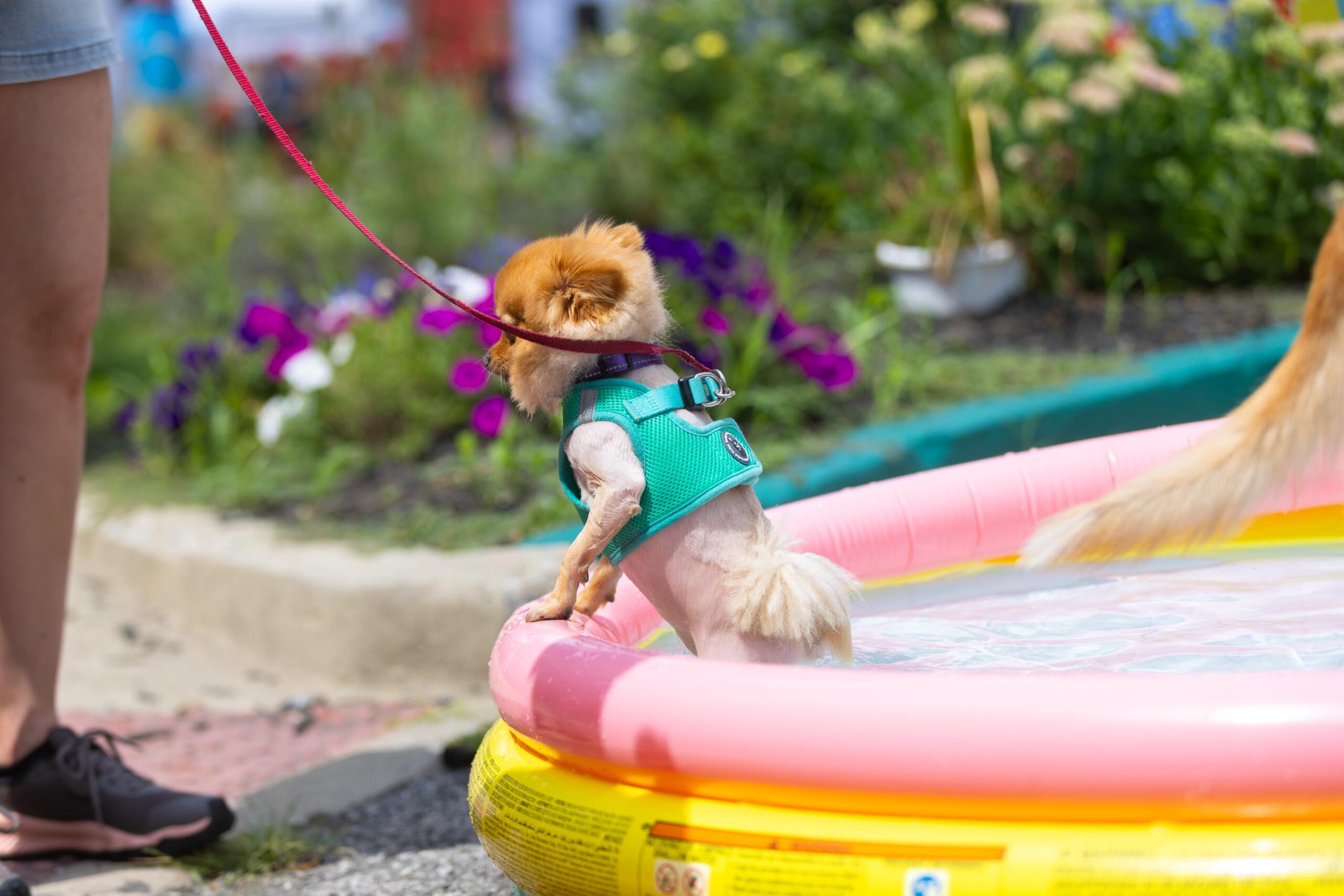 2025 Summerfest Block Party