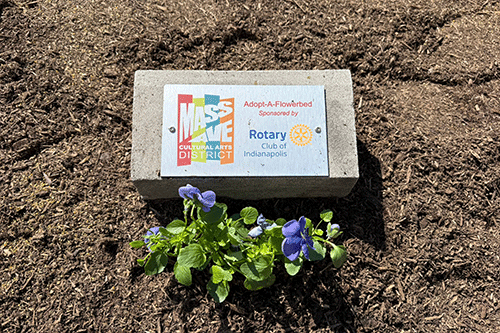 Mass Ave Bloom Flowerbed Recognition Sign Mass Ave Bloom Flowerbed Recognition Sign